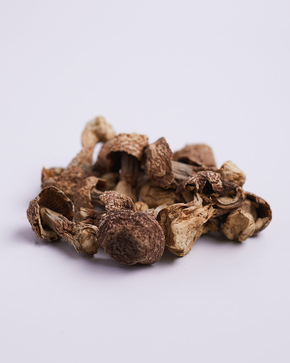 特選原色無添加姬松茸(四兩裝)