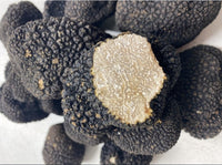 歐洲新鮮夏松露 Summer Truffle from Europe