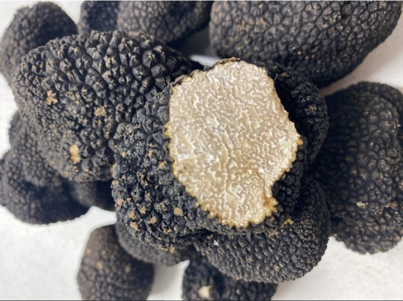 歐洲新鮮夏松露 Summer Truffle from Europe