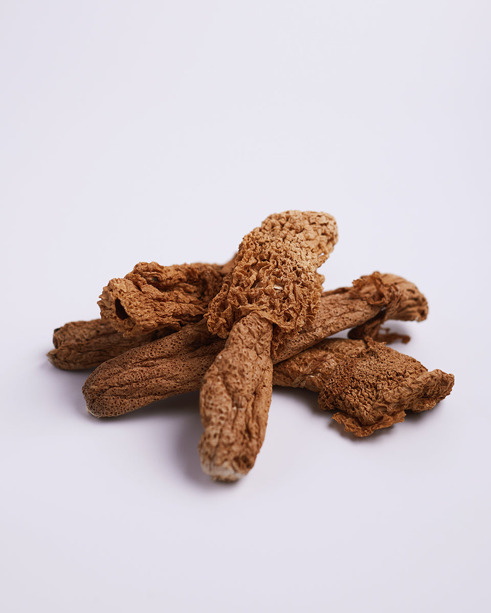 原色特厚竹笙皇(貴州紅托竹笙)(38g 一兩装)