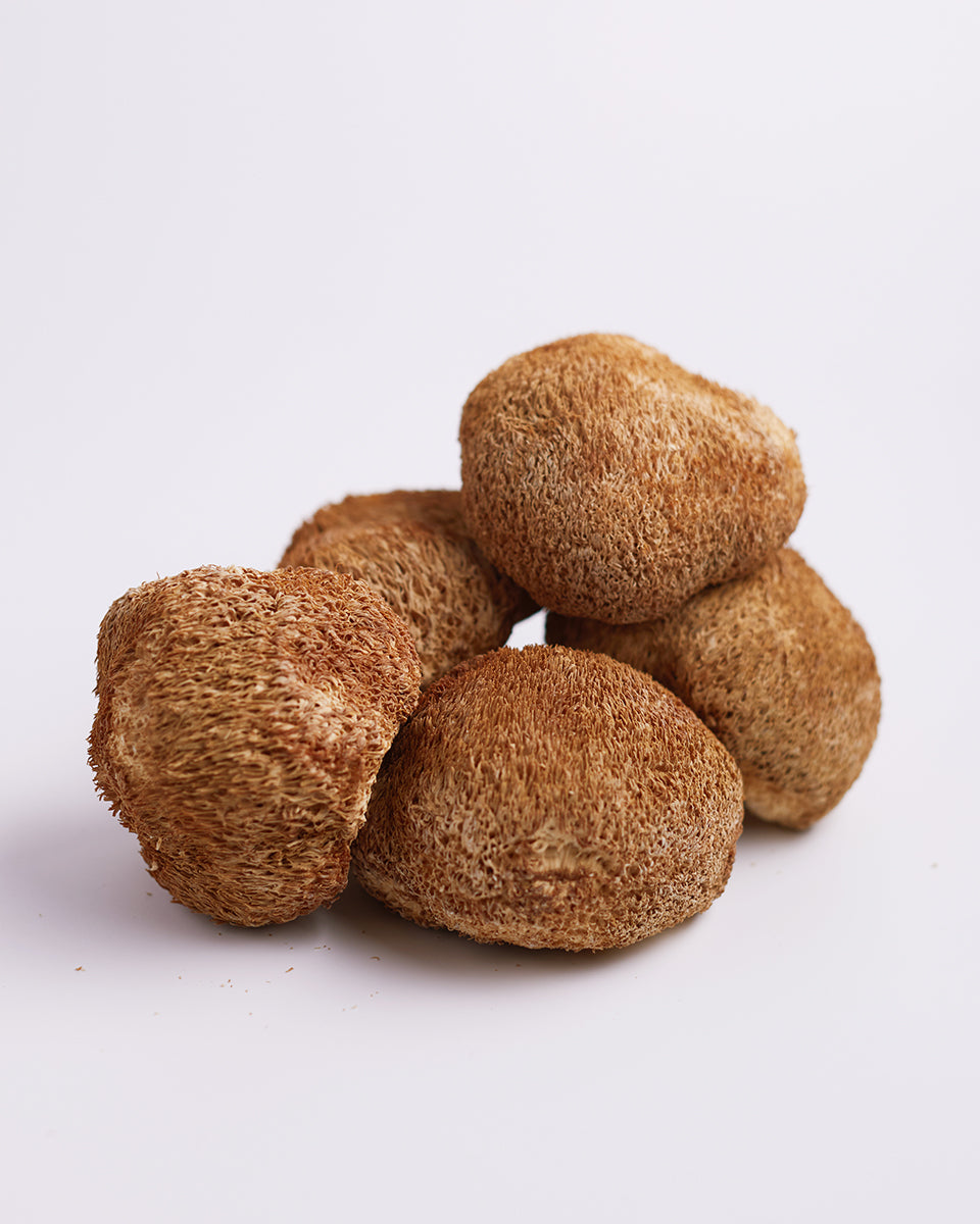 原色精選猴頭菇(152g 4兩裝)