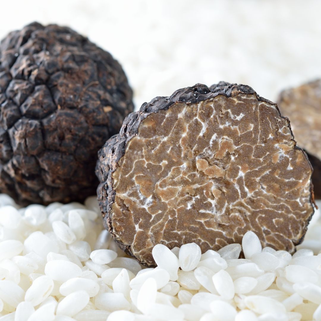 歐洲新鮮夏松露 Summer Truffle from Europe