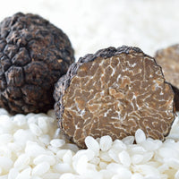 歐洲新鮮夏松露 Summer Truffle from Europe