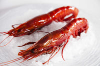 刺身級西班牙紅蝦Frozen Wild Carabinero 800g 6-8隻