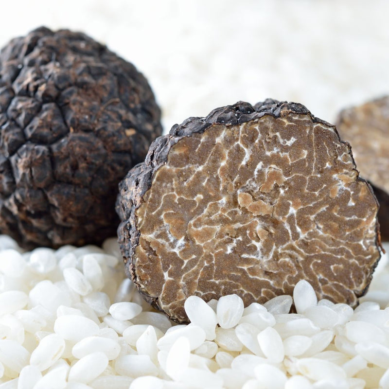 歐洲直送新鮮松露 Fresh Truffle from Europe